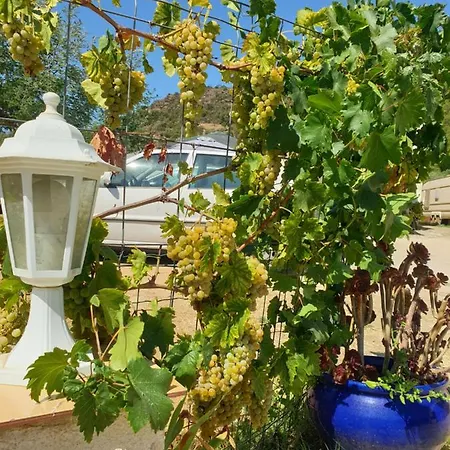 Les Restanques Du Sud アパート *