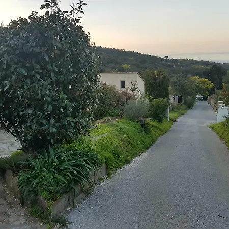 Les Restanques Du Sud * ル・ラヴァンドゥー