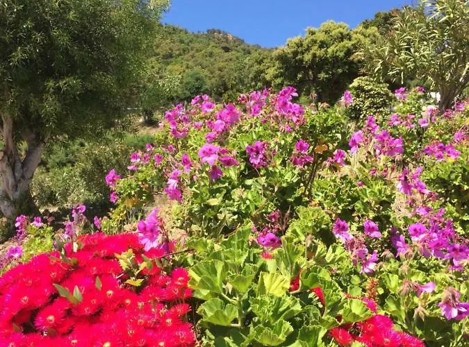 Apartman Les Restanques Du Sud *