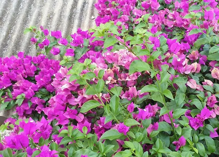 Les Restanques Du Sud Apartman *