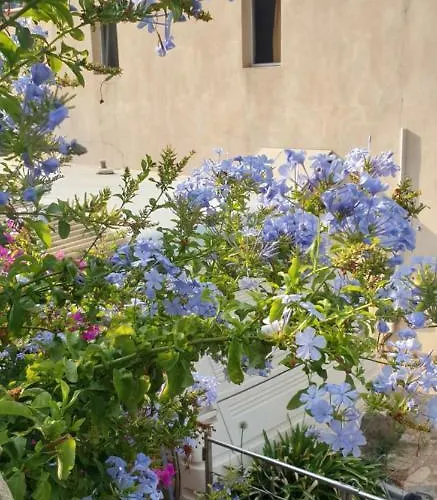 Les Restanques Du Sud * Le Lavandou