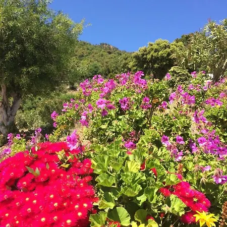 Daire Les Restanques Du Sud *