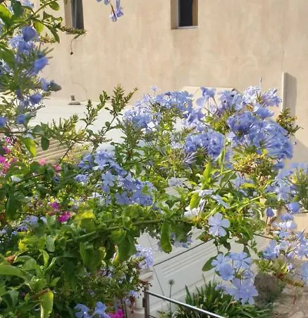 Les Restanques Du Sud * Le Lavandou