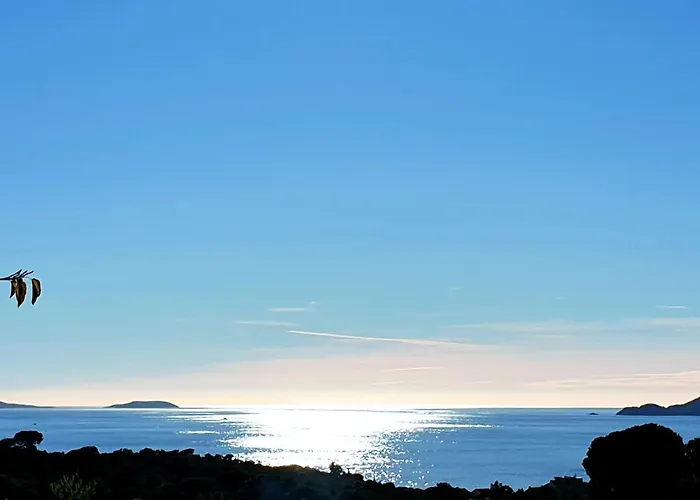 Les Restanques Du Sud *