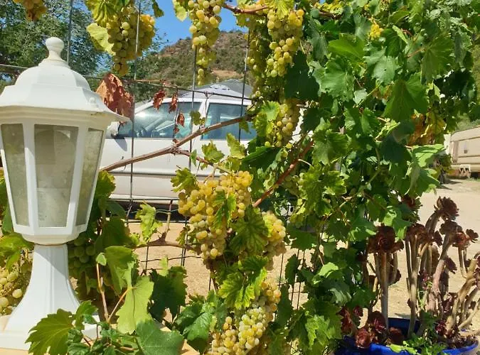 Les Restanques Du Sud Διαμέρισμα *