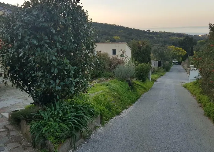 Les Restanques Du Sud * Le Lavandou