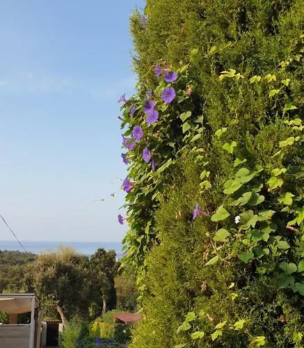 Les Restanques Du Sud Daire *